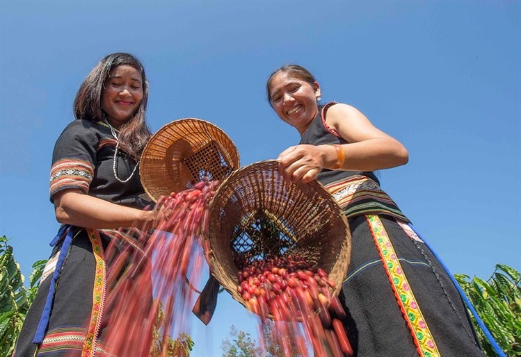 Dự báo xuất khẩu cà phê năm 2025